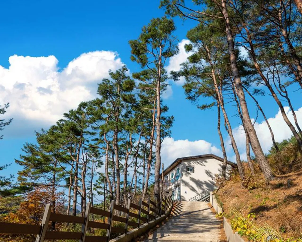 대표 사진