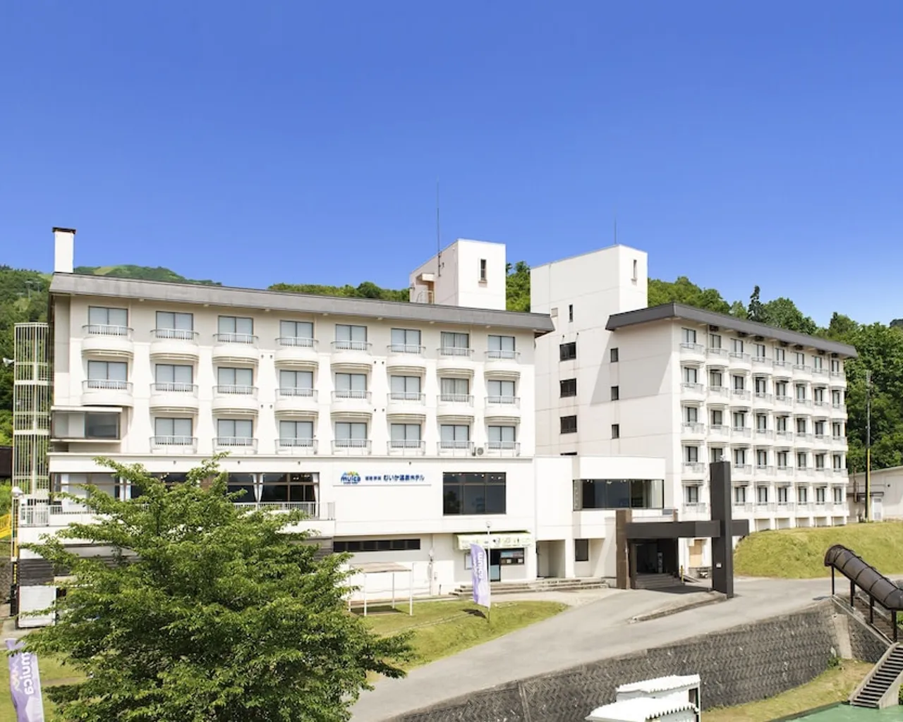 기본 이미지