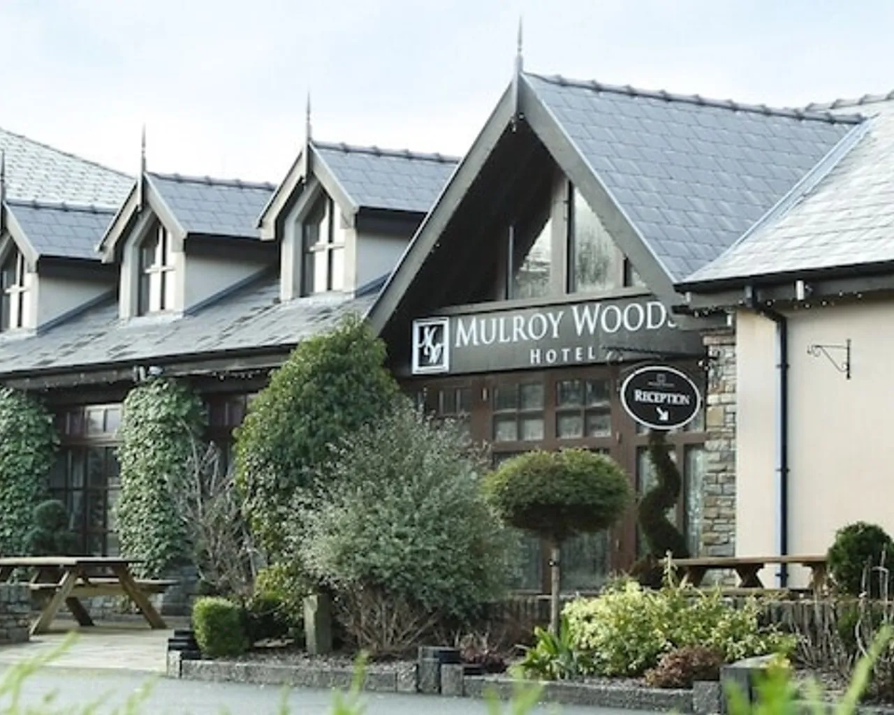 기본 이미지
