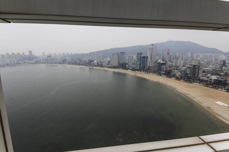 기타