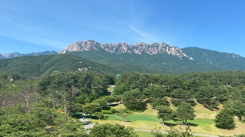 전경