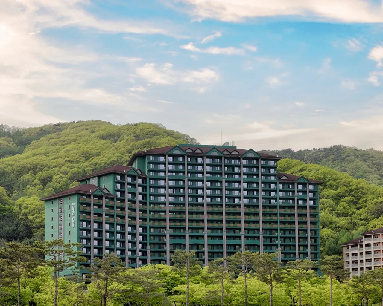 대표 사진