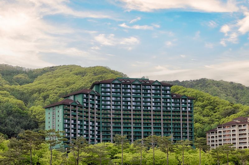 대표사진