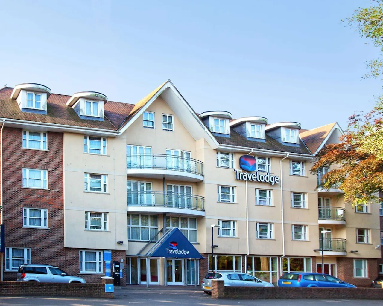 기본 이미지