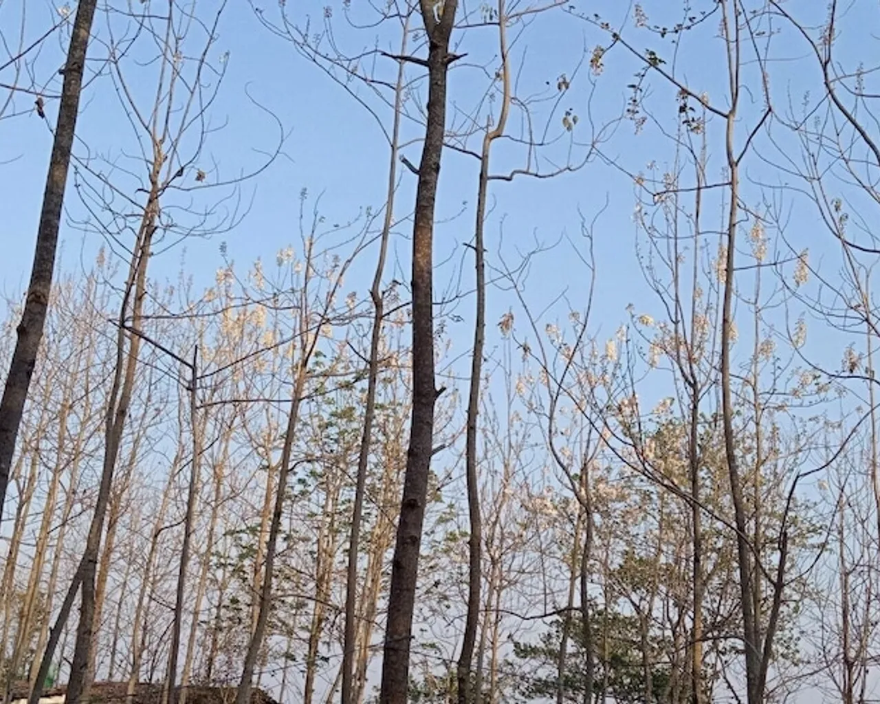 숙소 앞