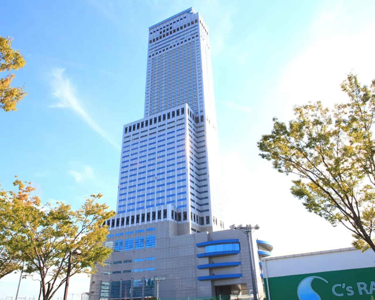 기본 이미지
