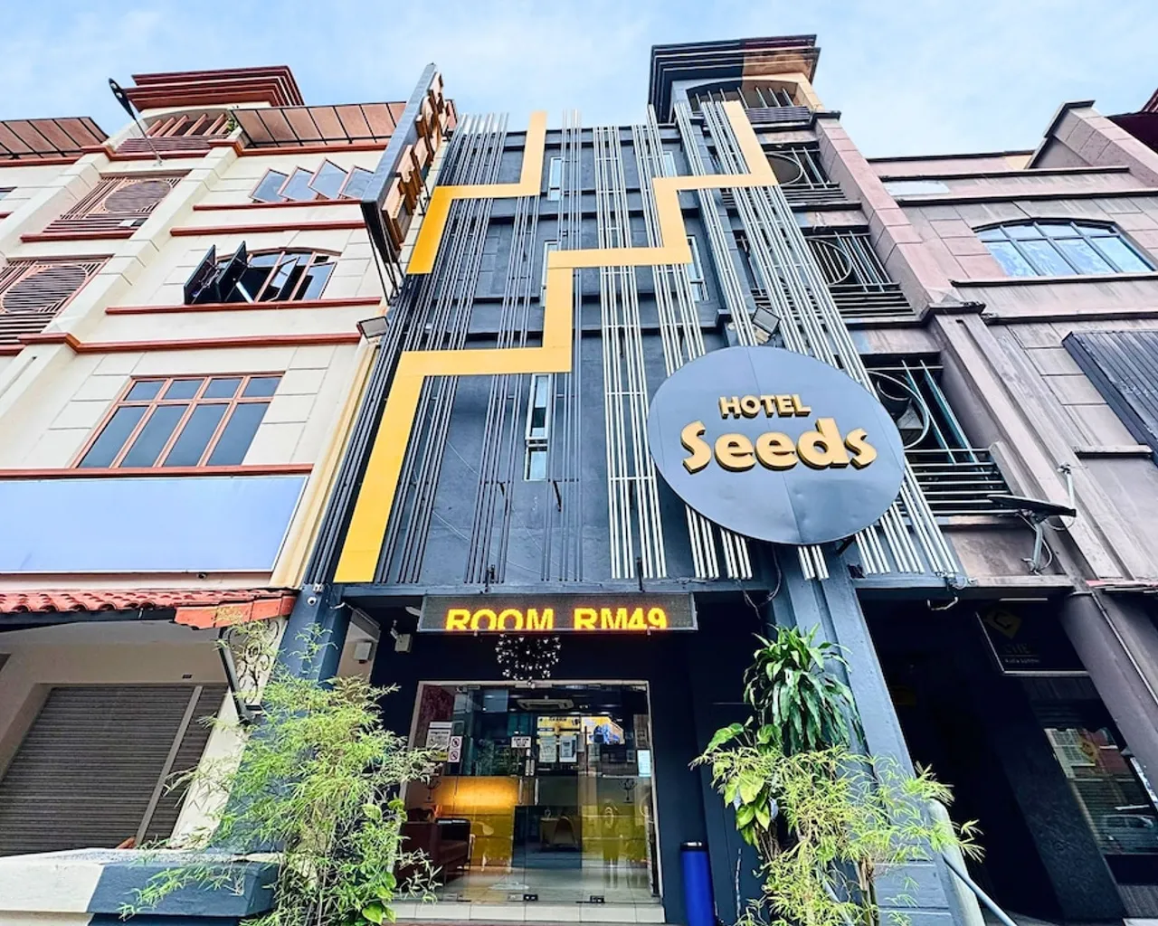 기본 이미지
