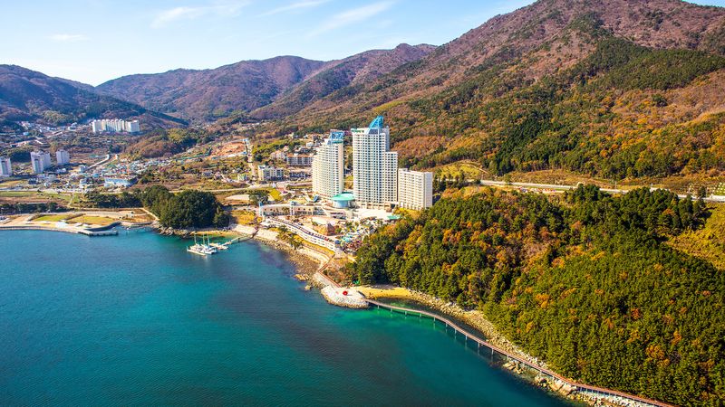 전경