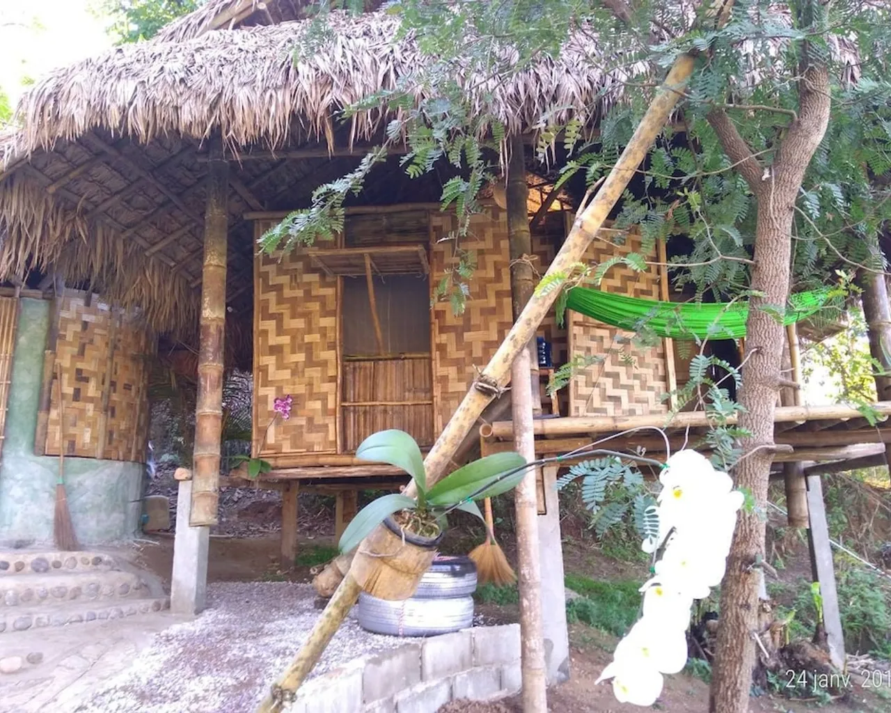 기본 이미지