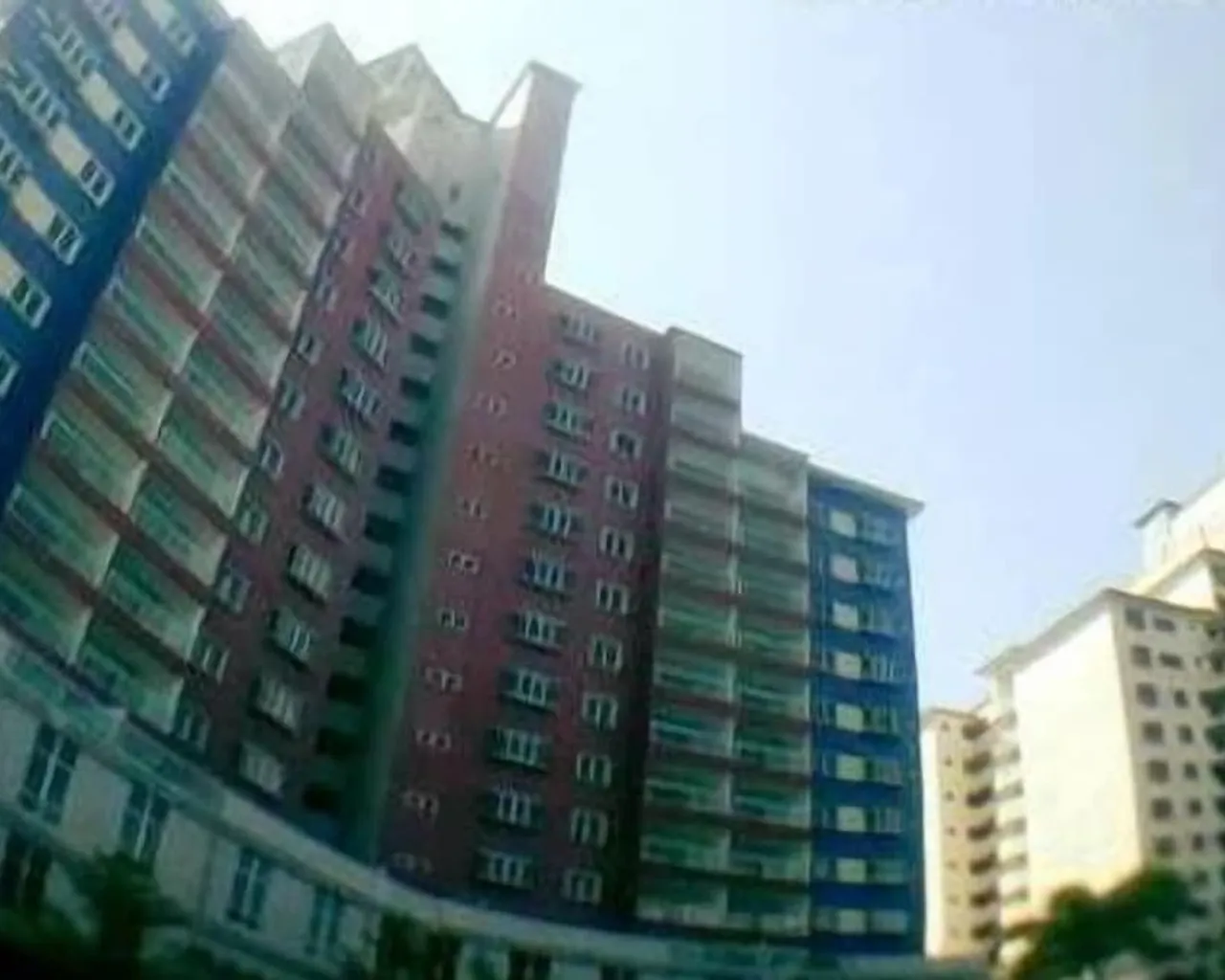 기본 이미지