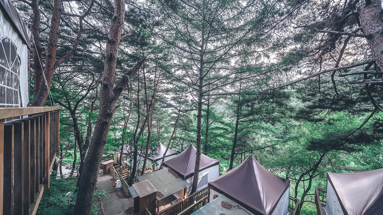 숲속의연인별 사진