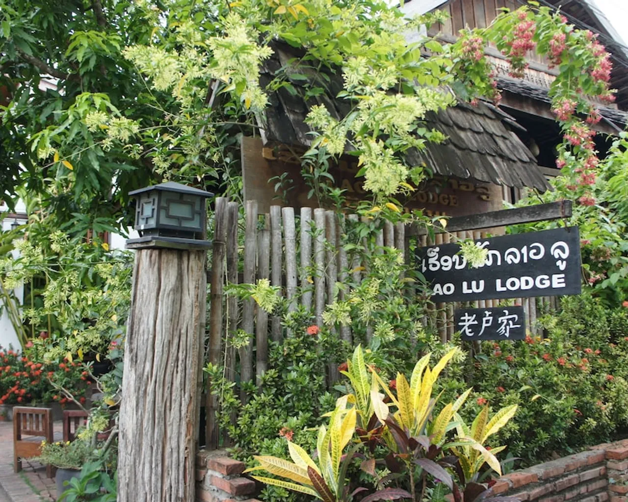 기본 이미지
