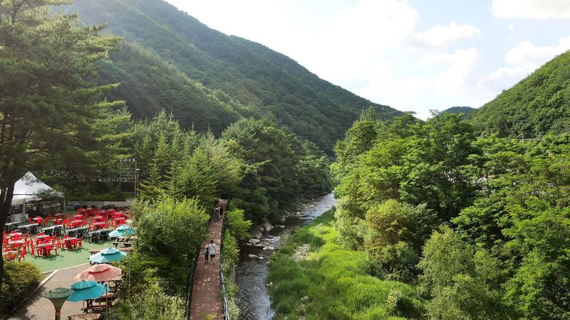 전경