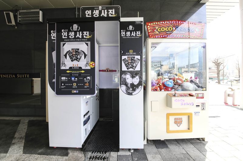 기타