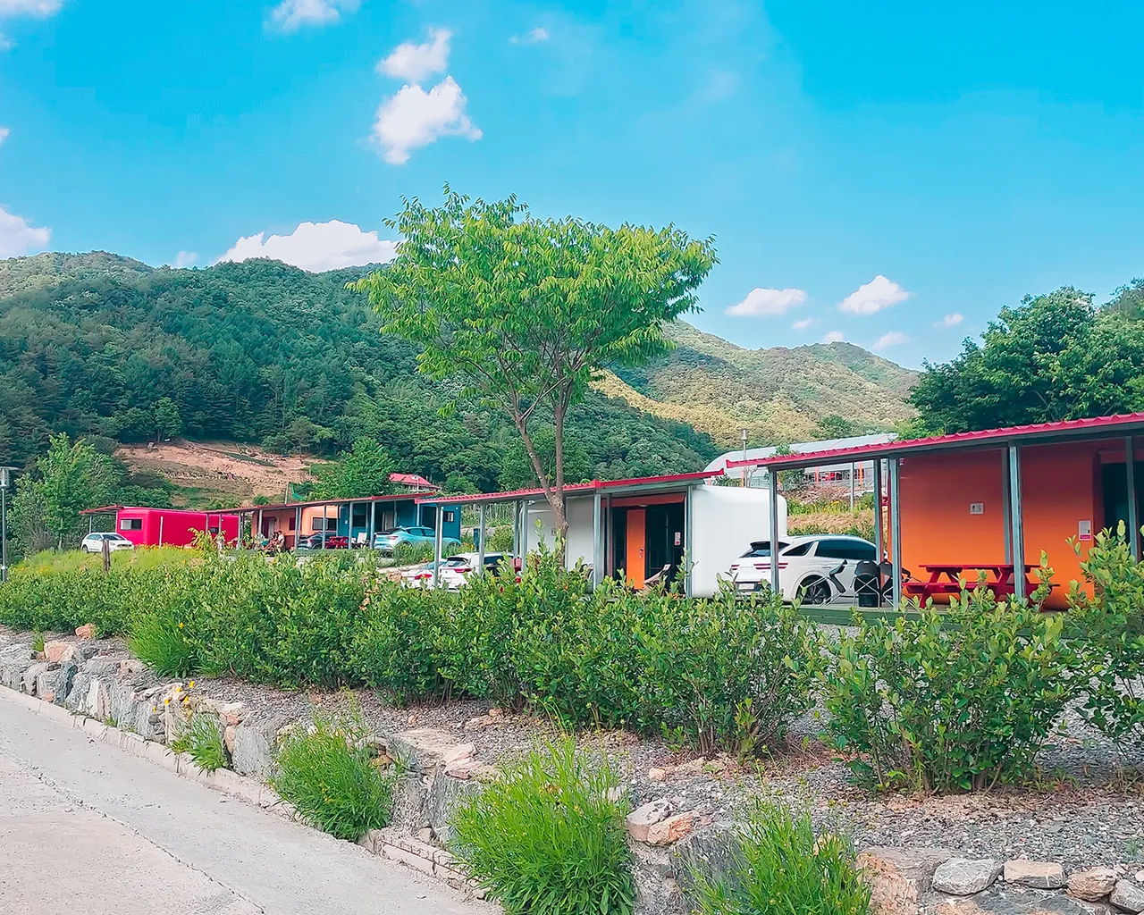 대표 사진