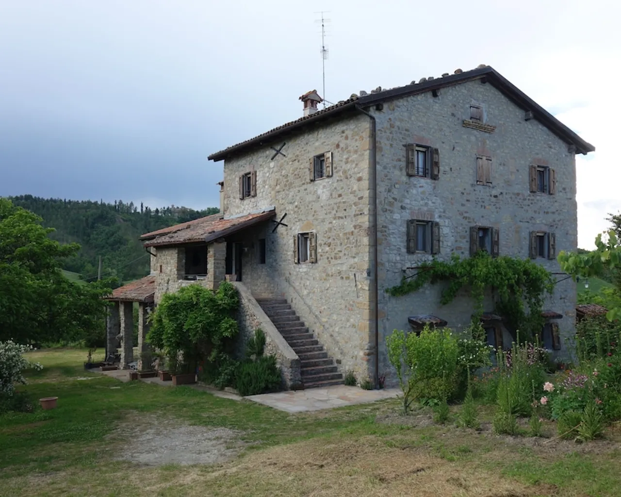 기본 이미지
