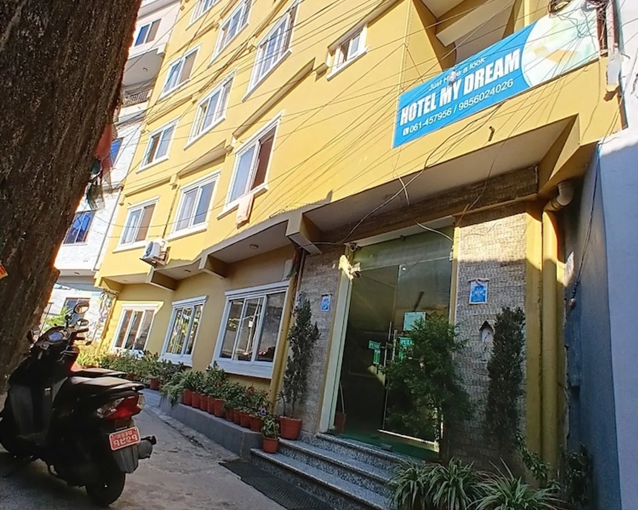 기본 이미지