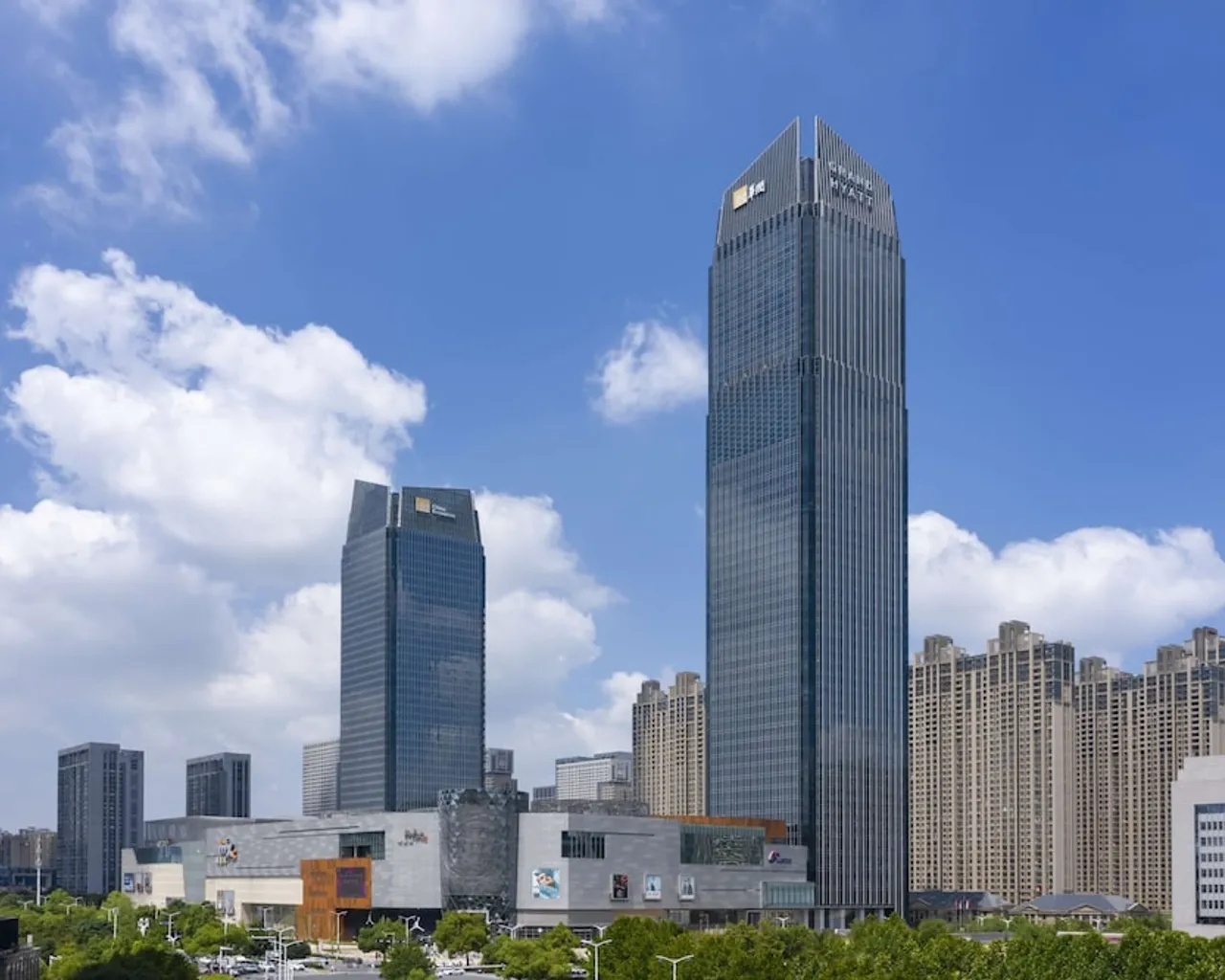 기본 이미지