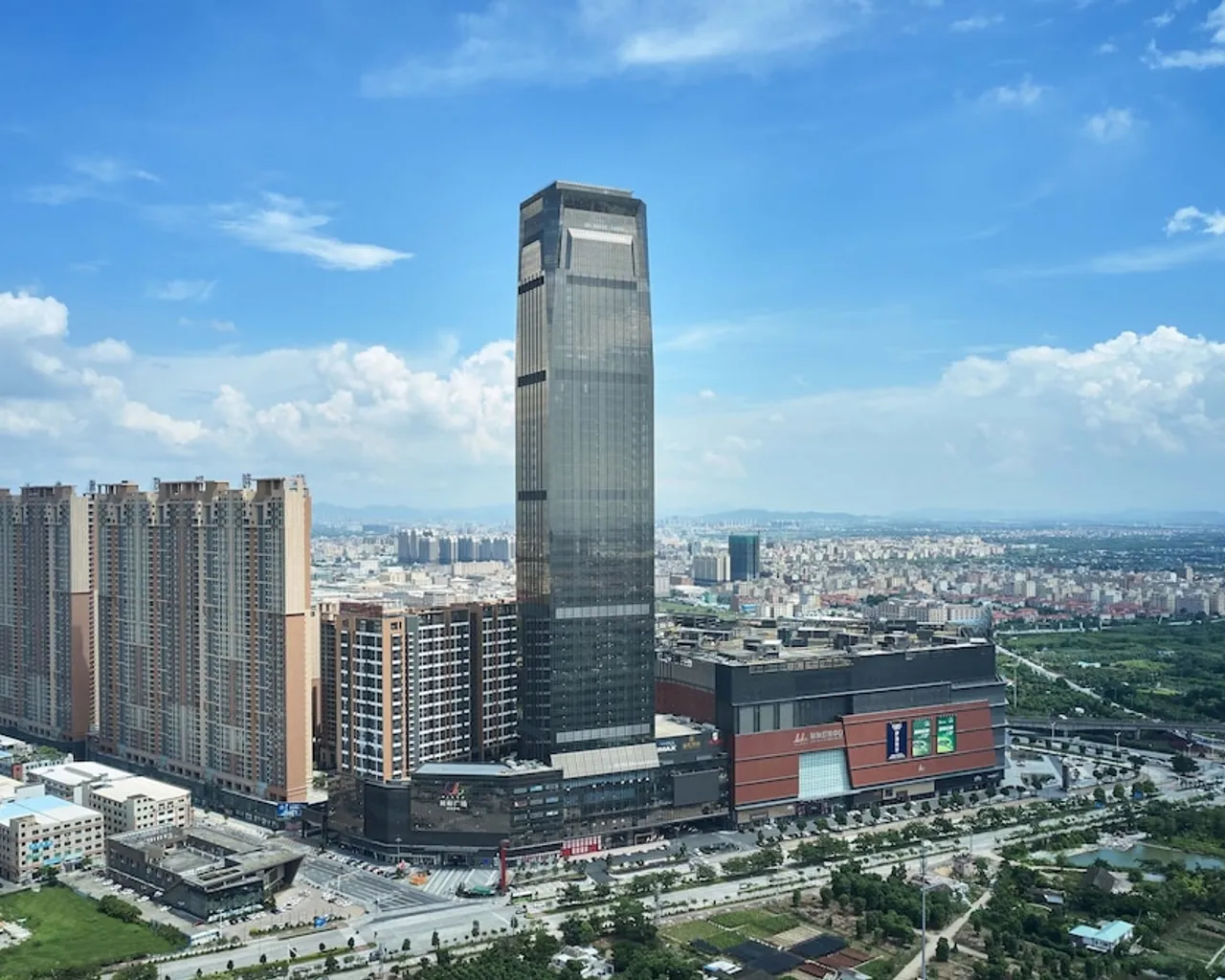 기본 이미지
