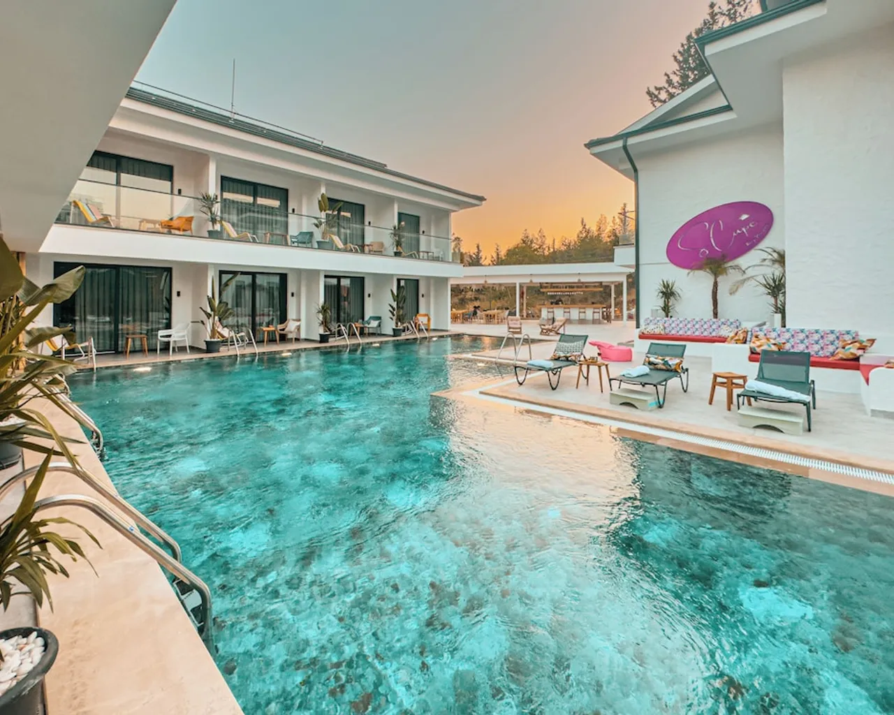 기본 이미지