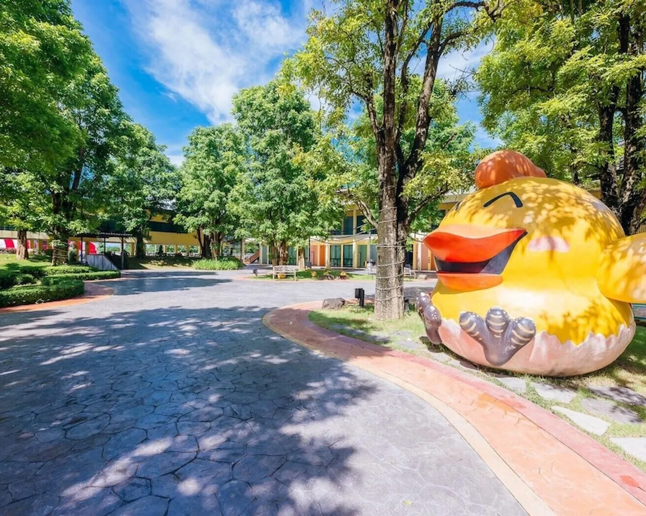 기본 이미지