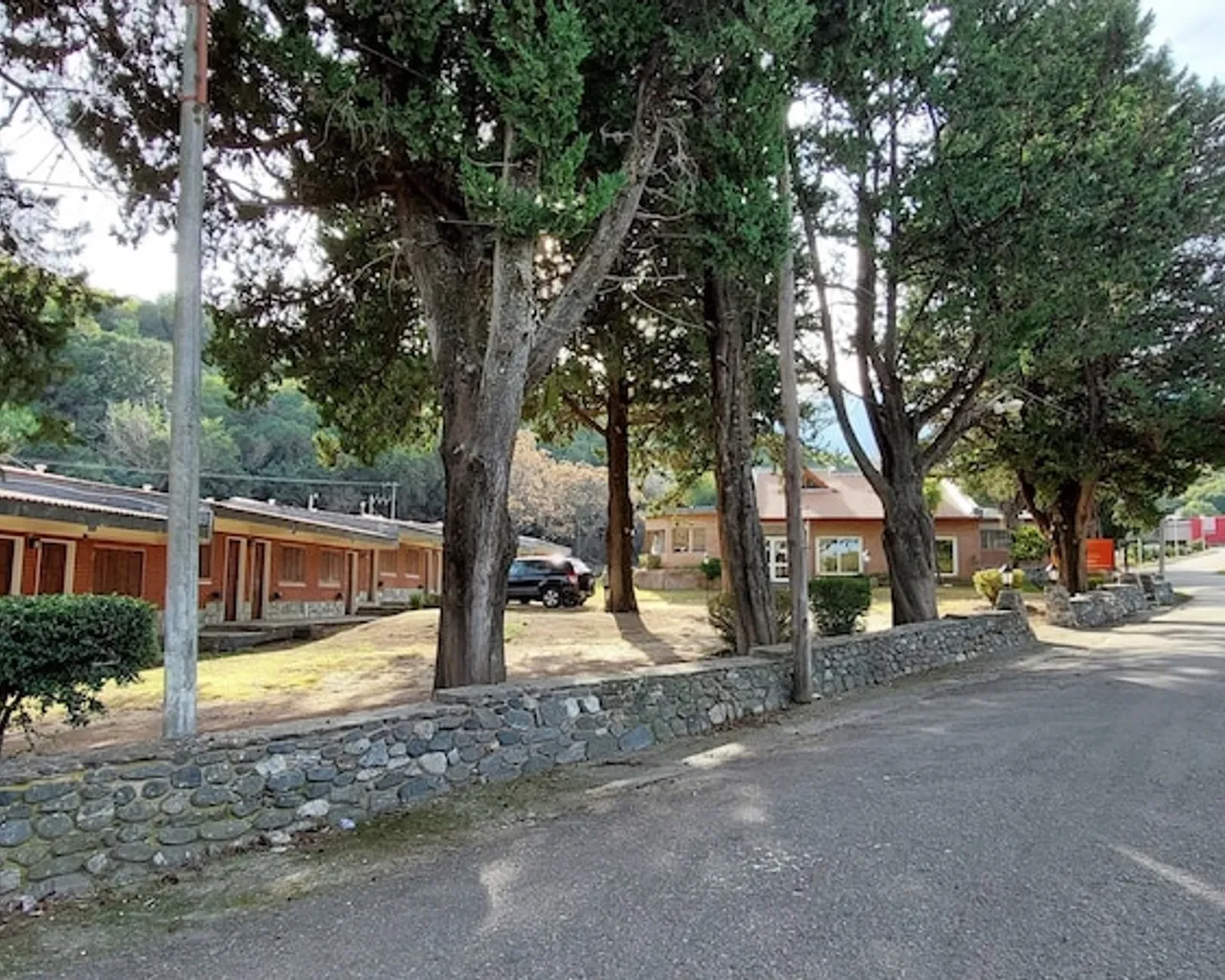 기본 이미지