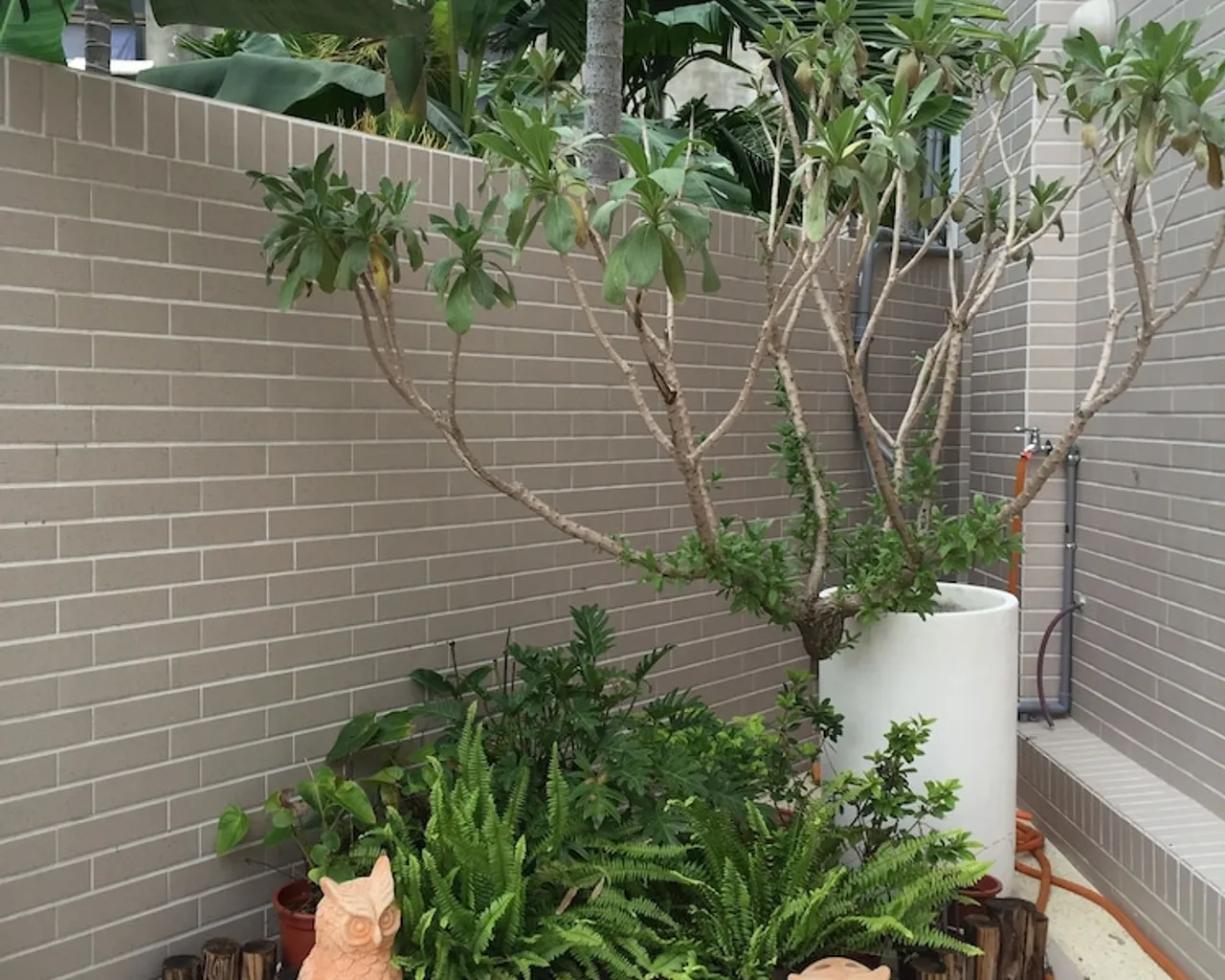 기본 이미지