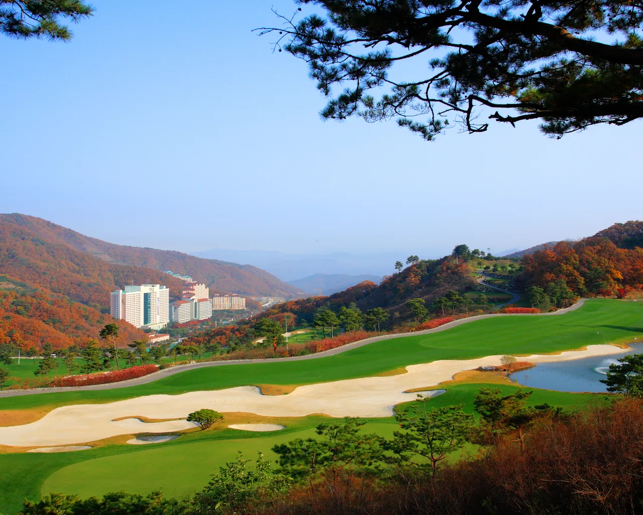 대표 사진