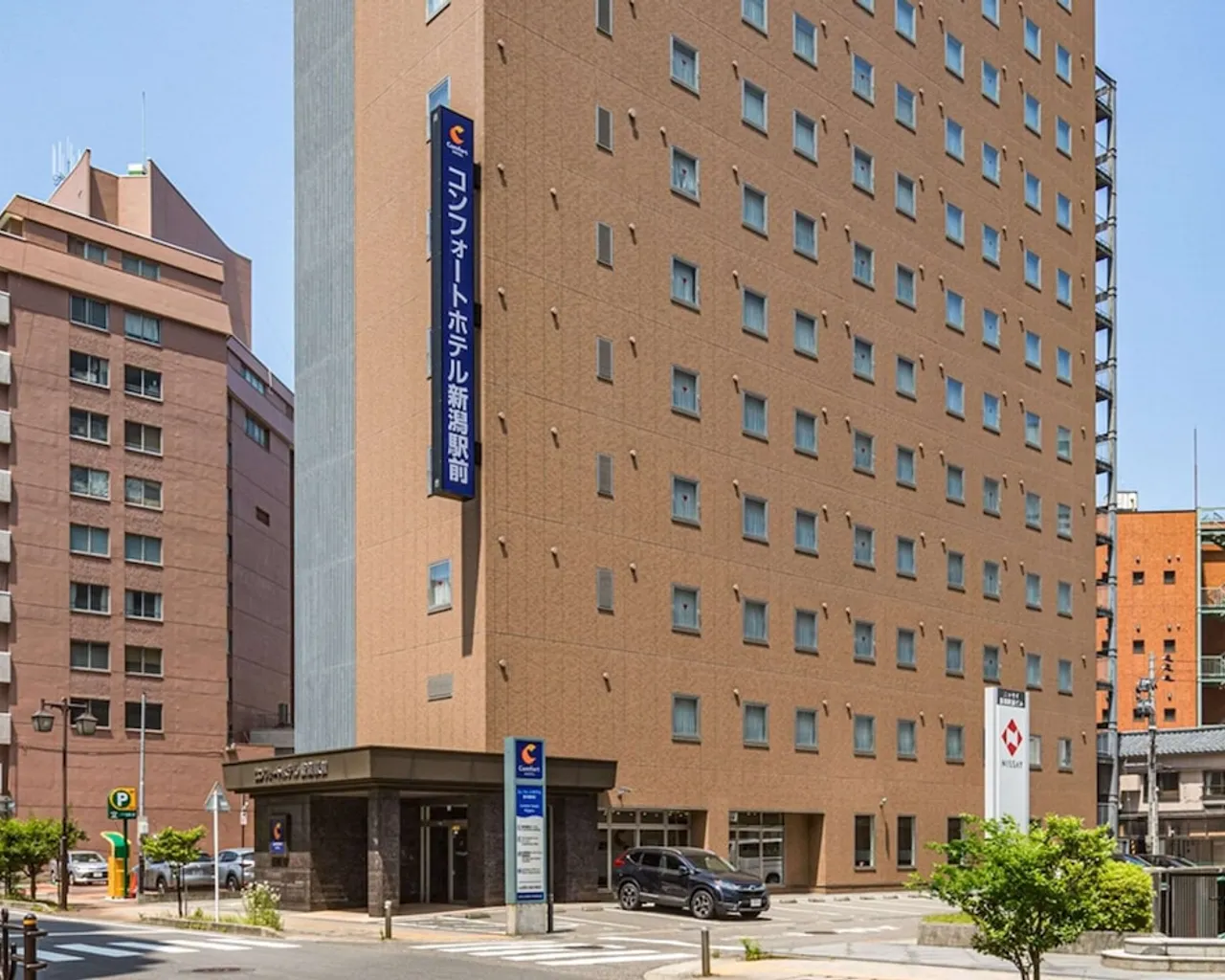기본 이미지