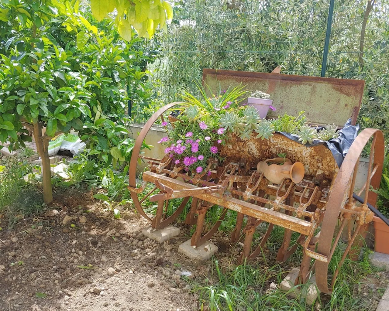 기본 이미지