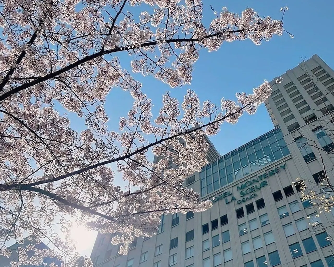 기본 이미지