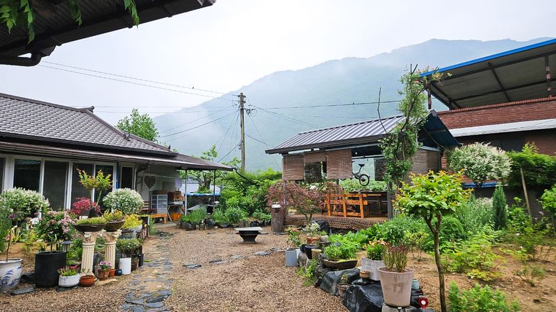 전경