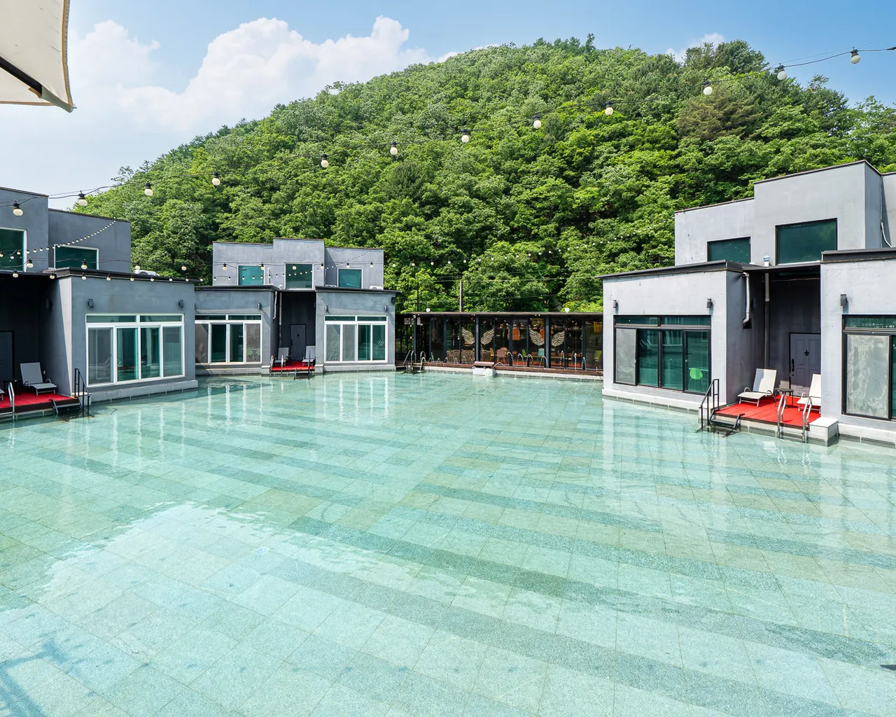 대표 사진