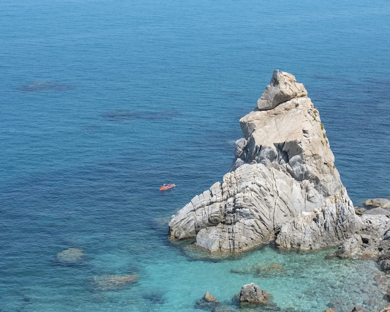 기본 이미지
