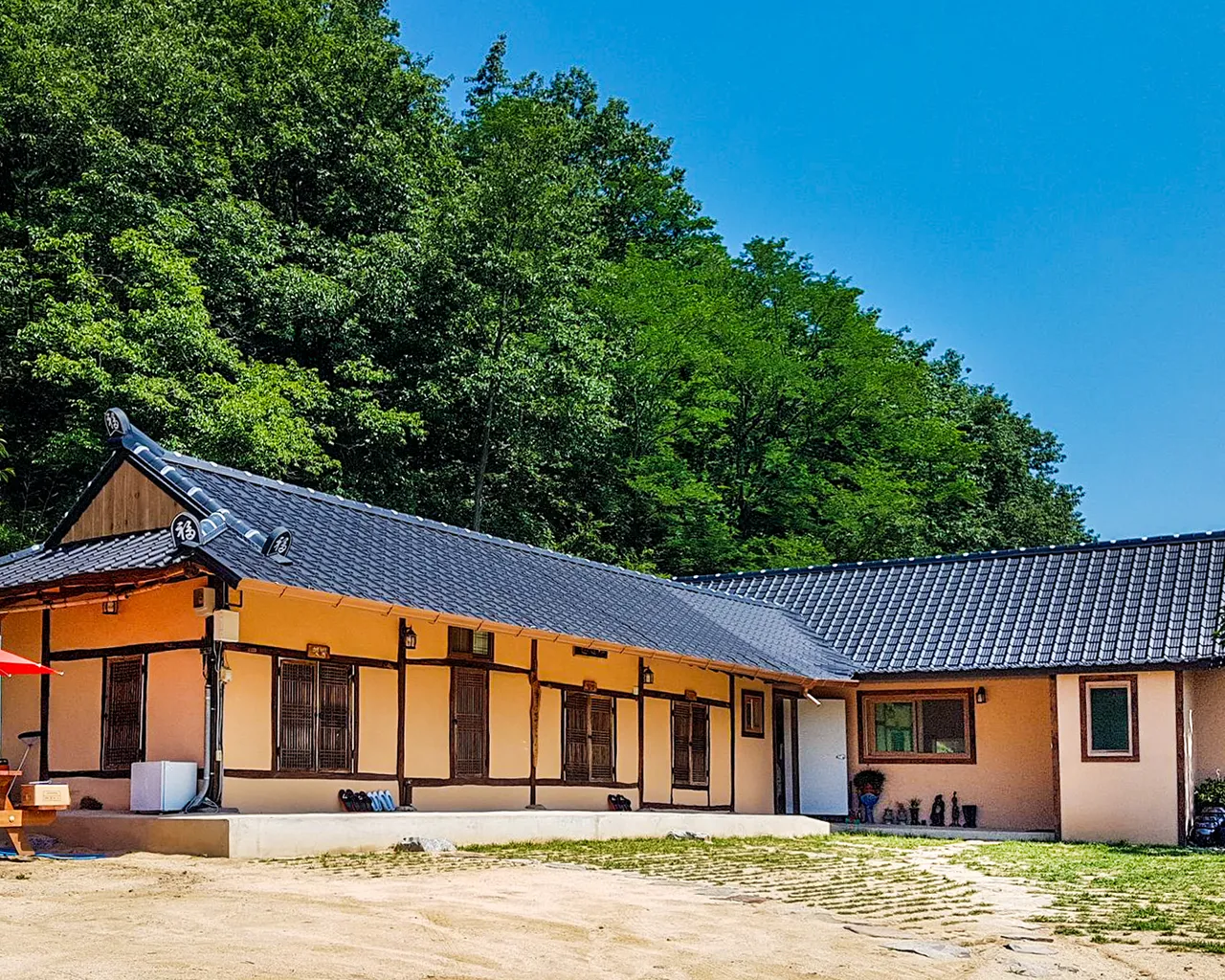 대표 사진