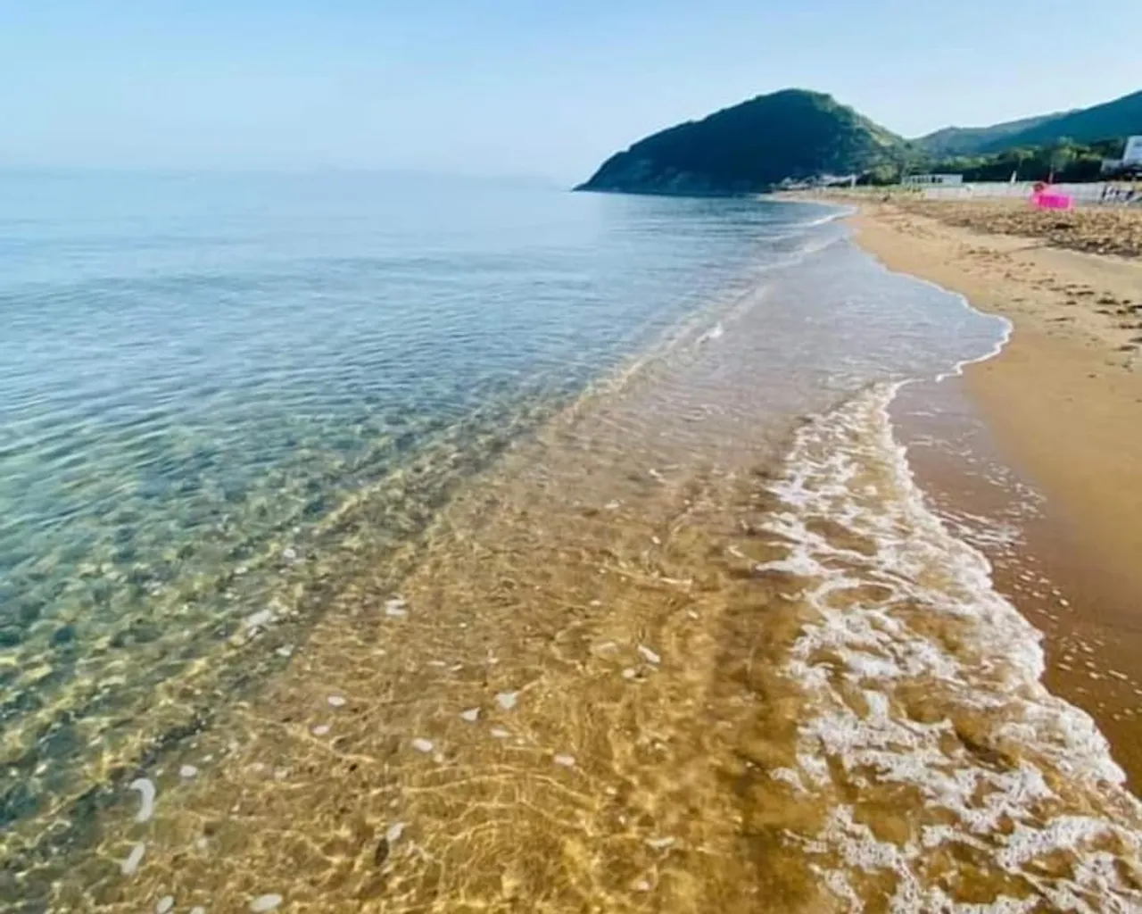 기본 이미지