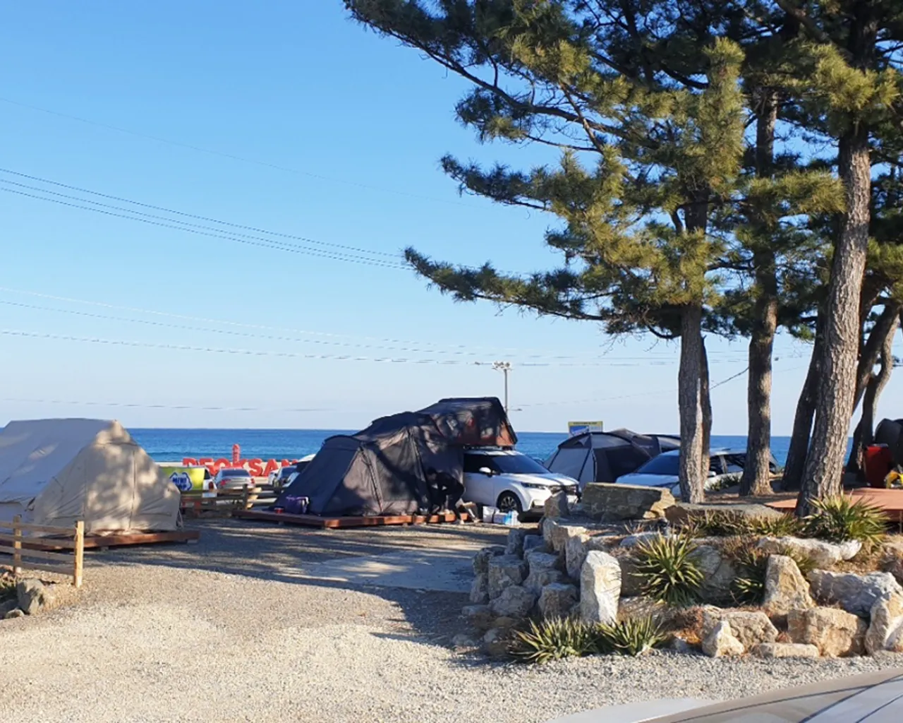대표 사진
