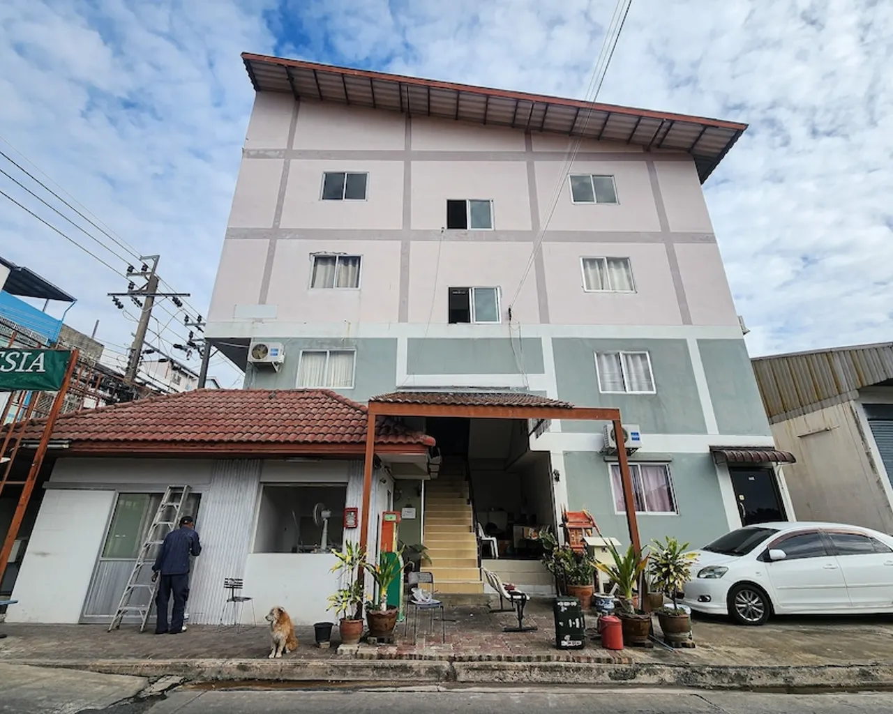 기본 이미지