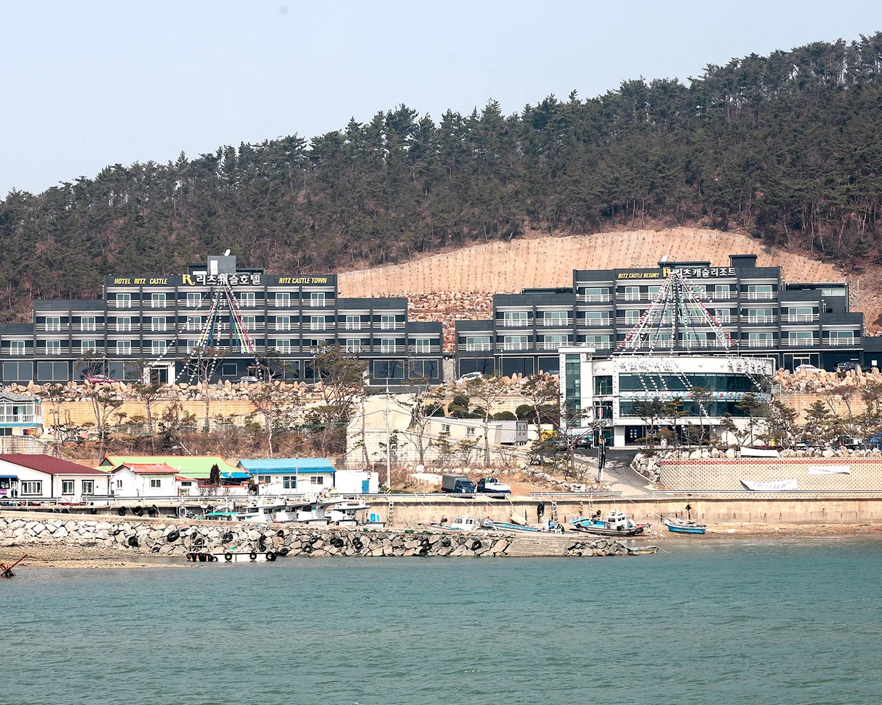 대표 사진