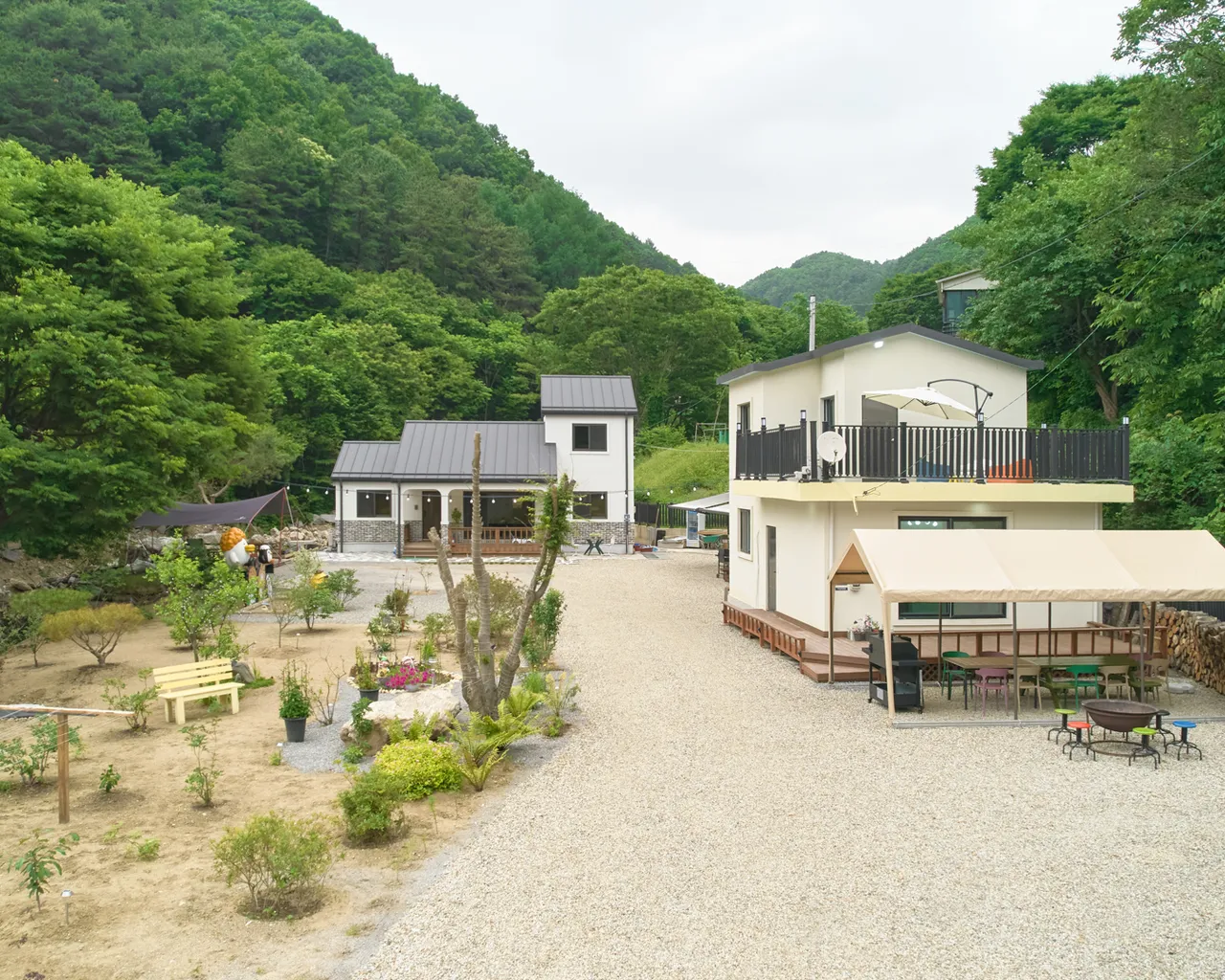 대표 사진
