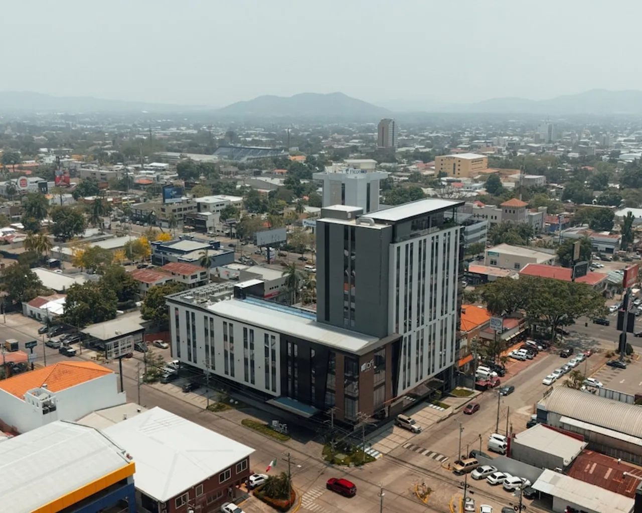 기본 이미지