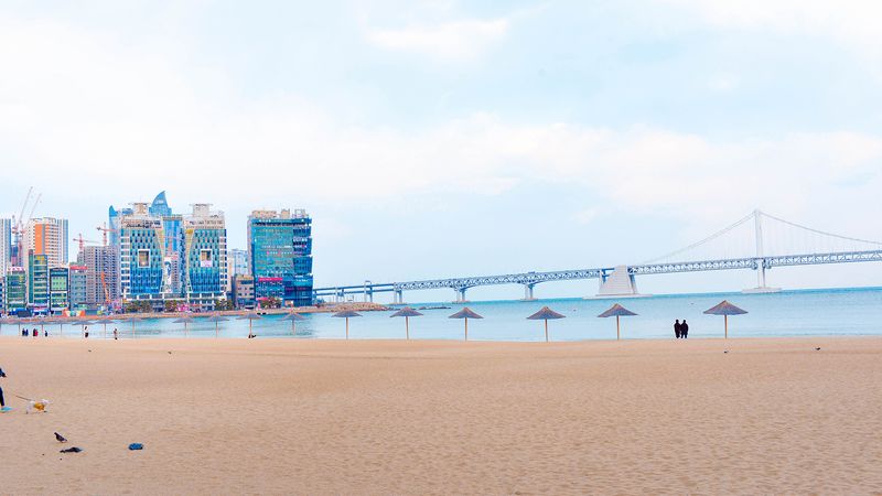 전경