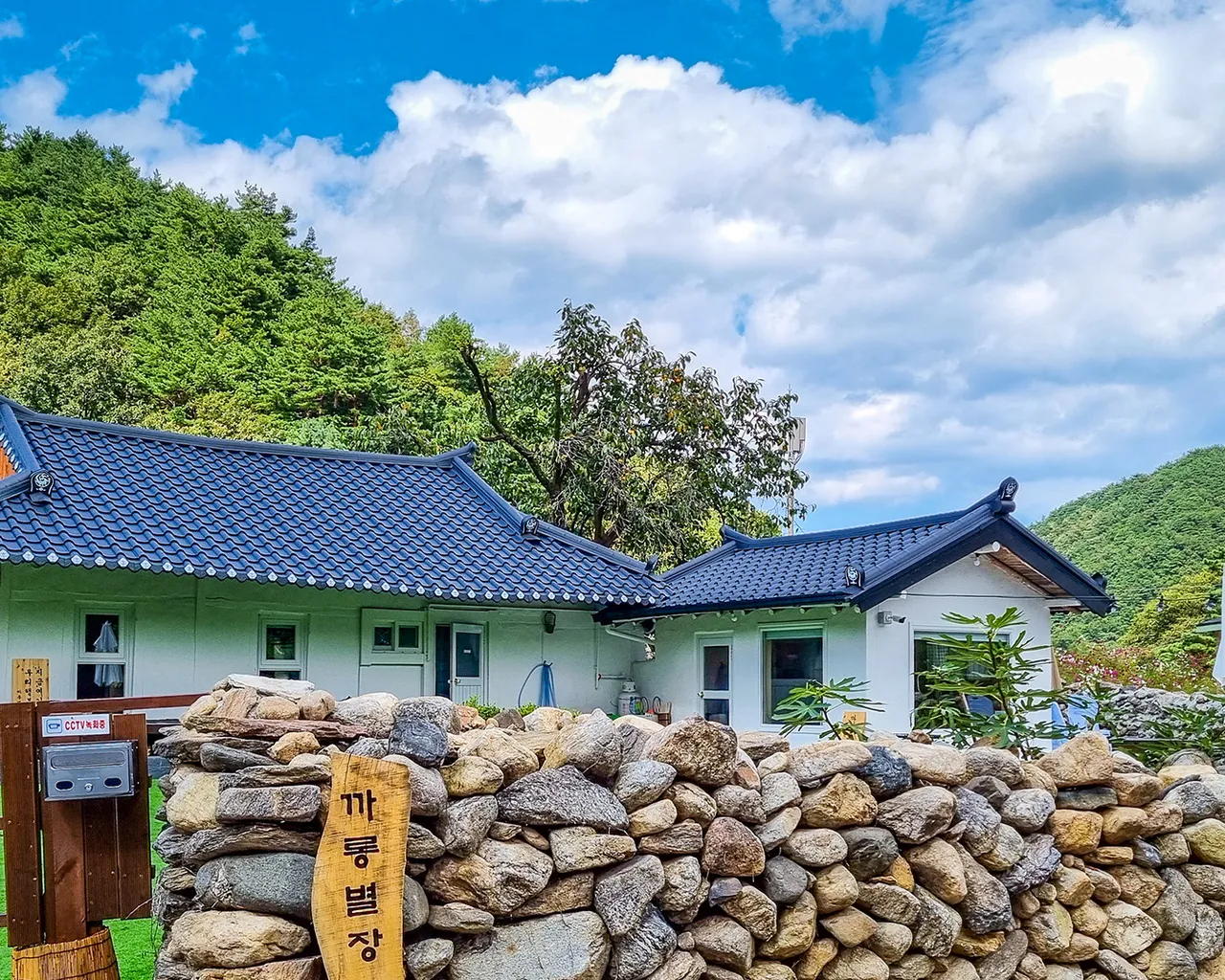 대표 사진