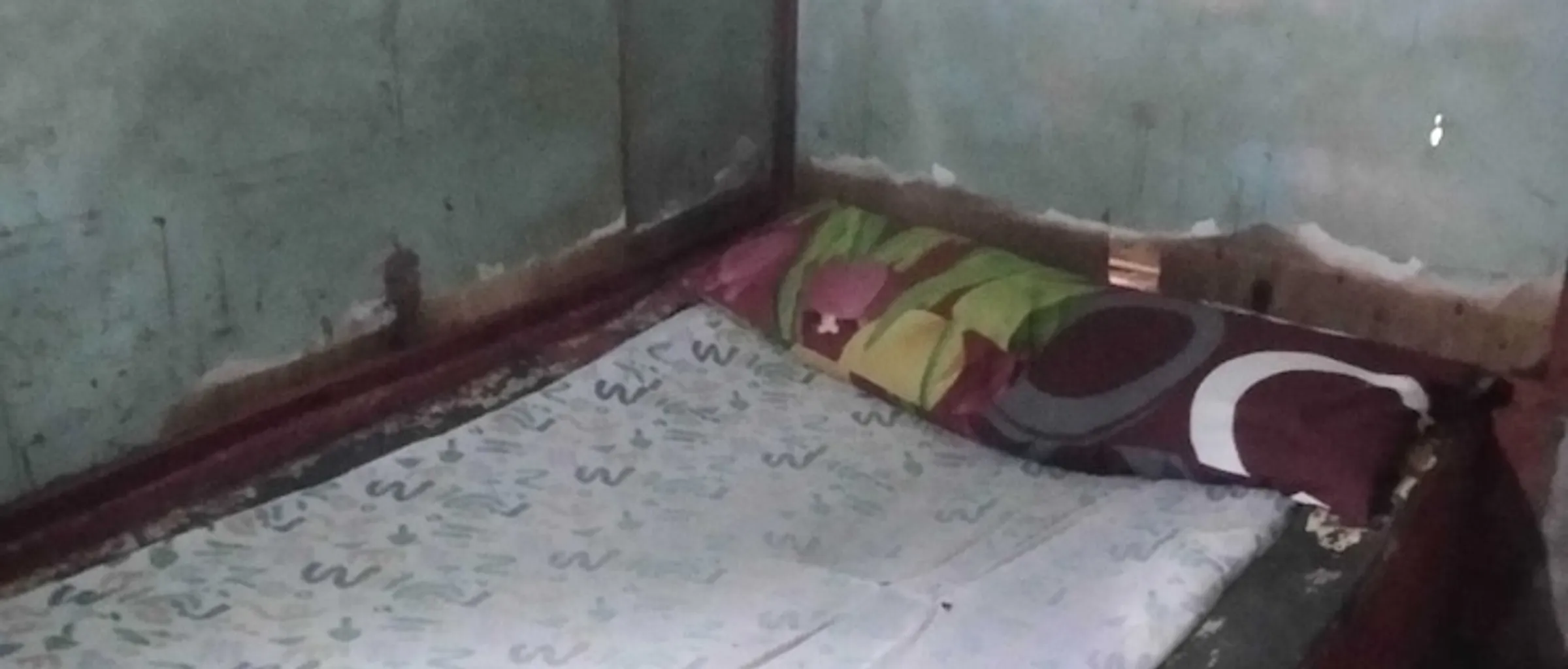 기본 이미지