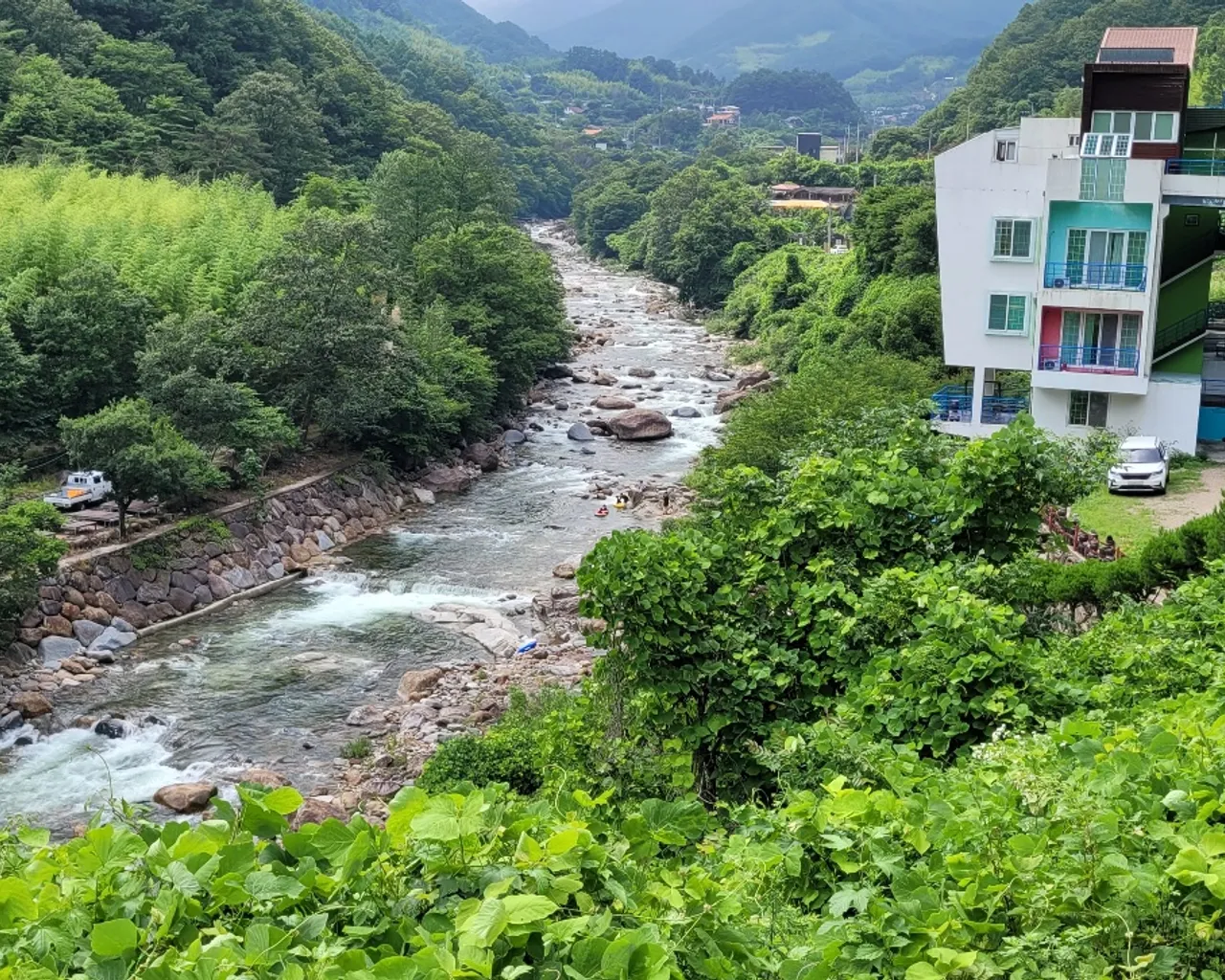 대표 사진