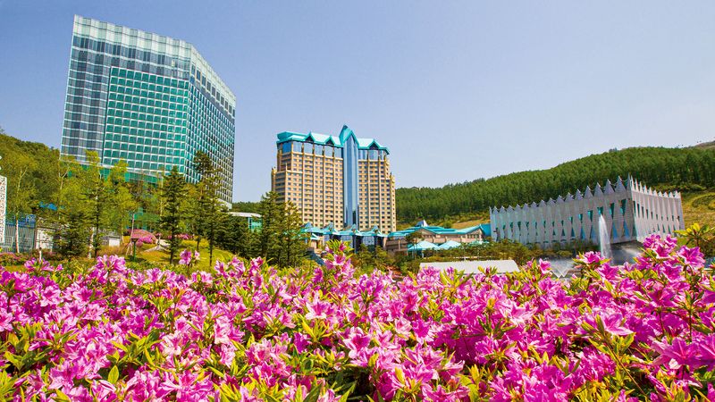 대표사진