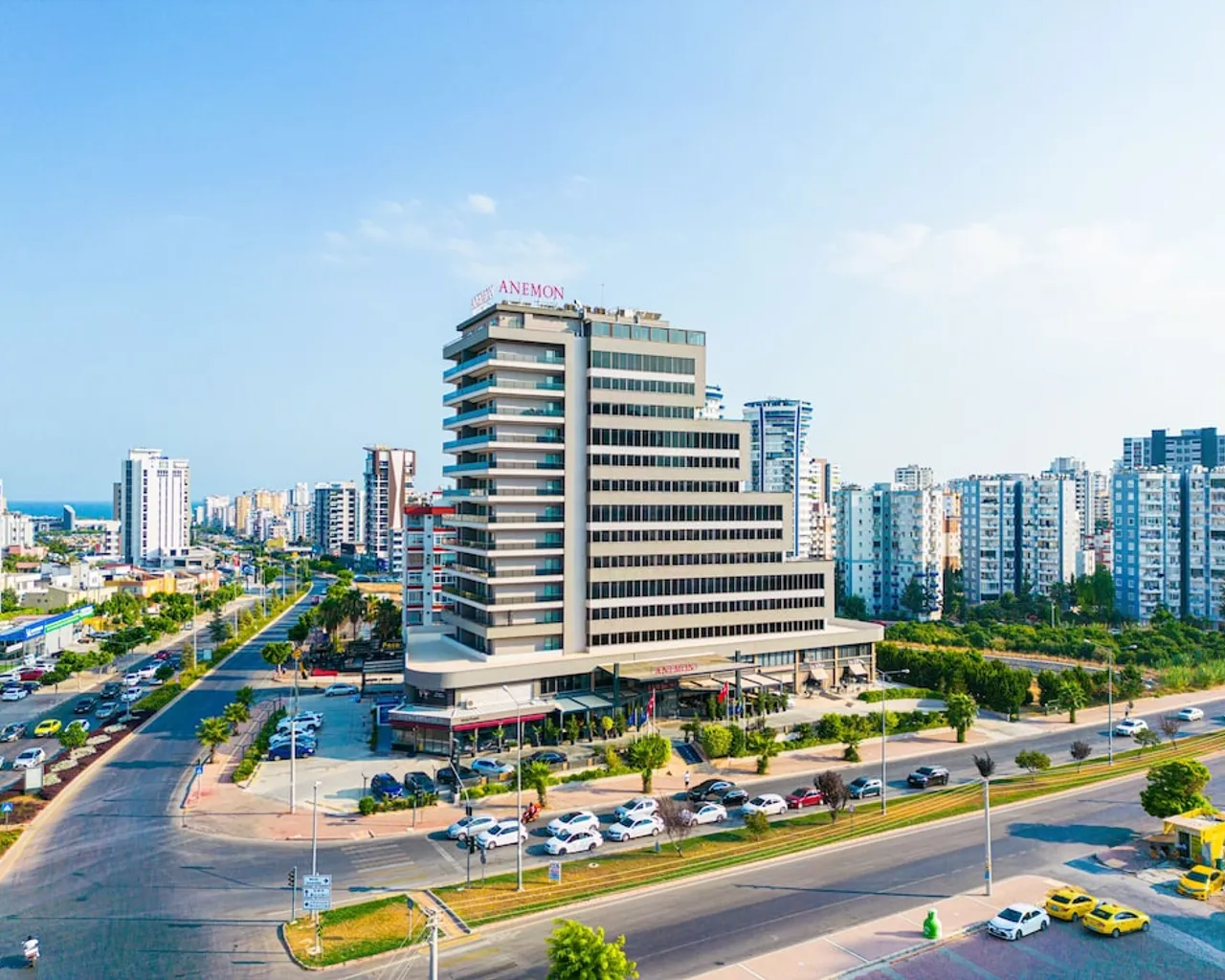 기본 이미지