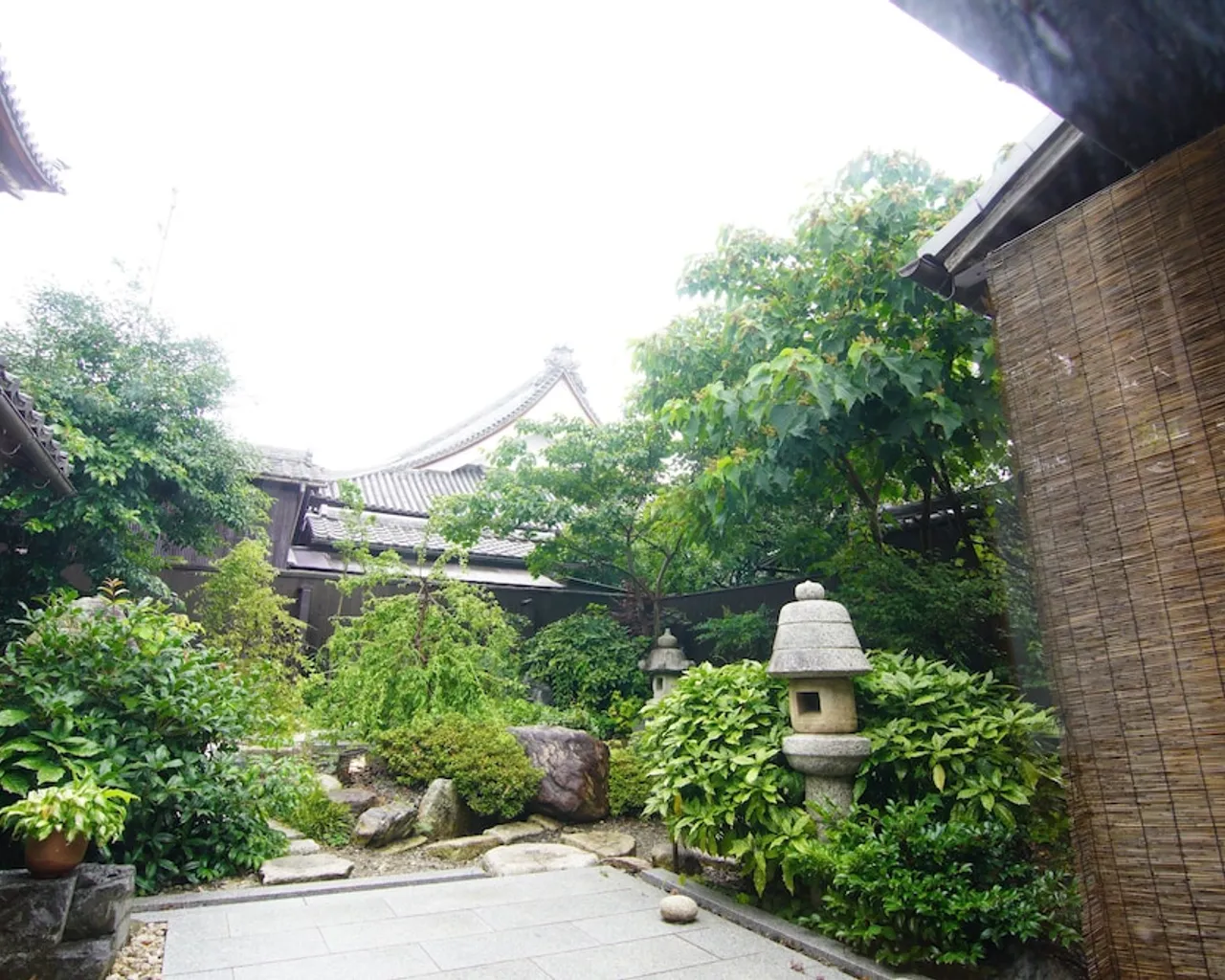 기본 이미지