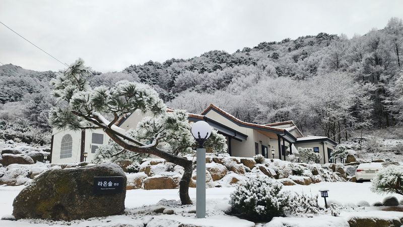 전경