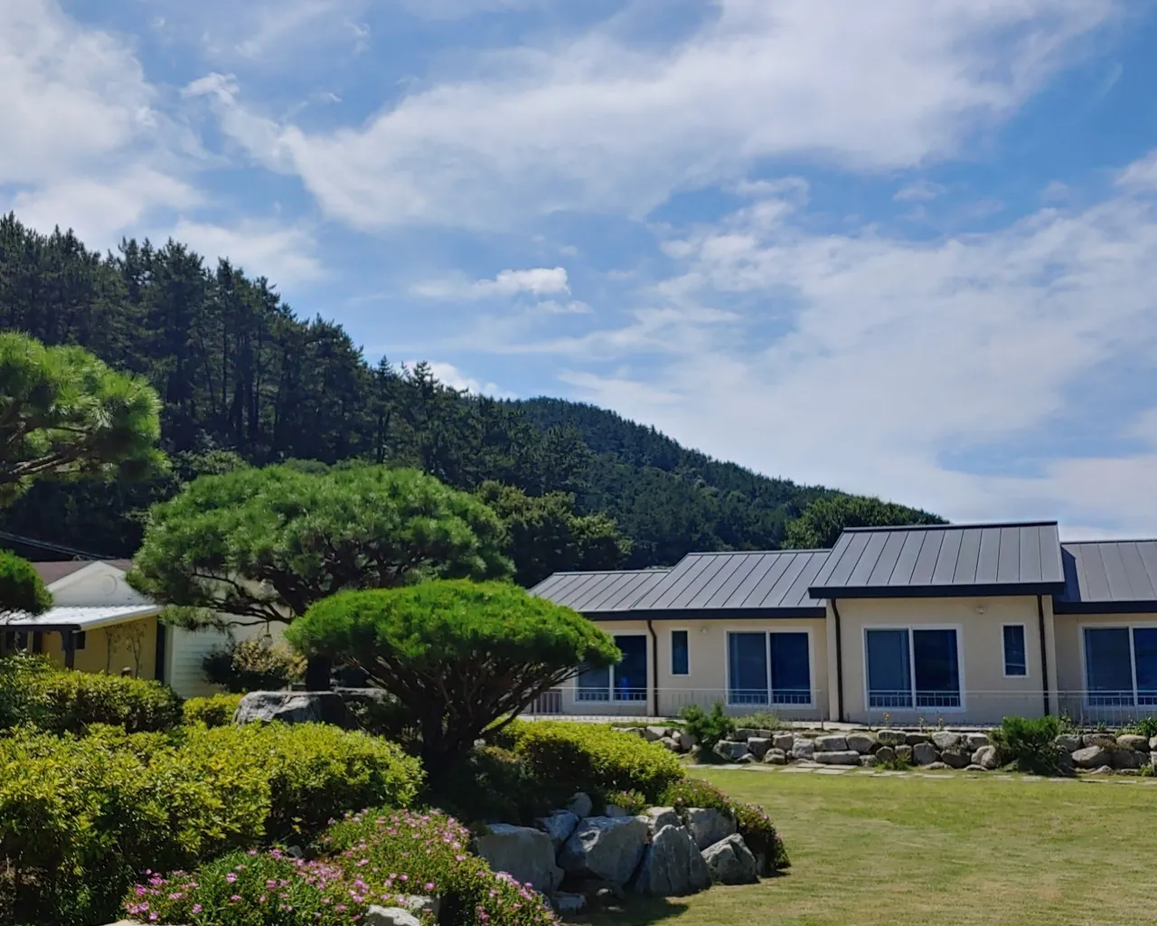 대표 사진